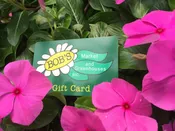 Bob's Market Gift Card — Bob's Market and Greenhouses