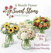Monthly Floral Subscription for 6 Months — Sweet Stems Floral Design