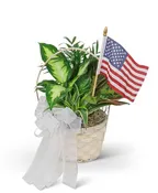 PATRIOTIC PLANTER
