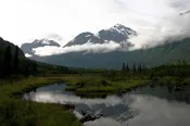 Alaskan Water View (Blank Card)