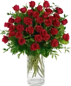 3-DZ Red Roses