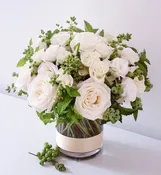 Elegant white