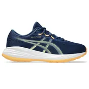 Asics cumulus 28 gs