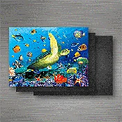 3d Lenticular Magnets