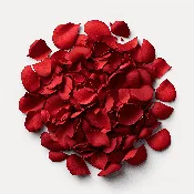 Rose Petals