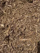 Single Shredded Hardwood