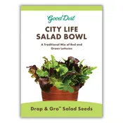 City Life Salad Bowl DROP & GRO™