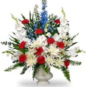 Red, white and blue spray.  137913