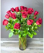 2 DOZEN RED ROSES