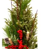 CHRISTMAS SPRUCE PLANTER