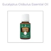 Eucalyptus Globulus Essential Oil (Young Living Essential Oils)