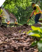 Mulch Installation Service