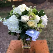 Hydrangea Blooms