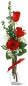 3 Red Roses