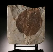 4" Davidia antiqua Leaf Plate (with stand)