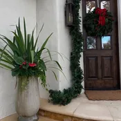 Seaonal Planter Subscription — Apenberry's Gardens