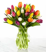 30 ASSORTED TULIPS