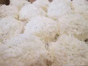Coconut Snowball (4 inch)
