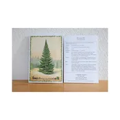 Balsam Fir Note Card — Glen Arbor Artisans