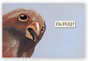 Da FUQ? Magnet