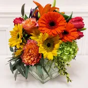"Your Sunny Funny Face" Bouquet