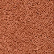 Fabrica Carnation Plush Saxony Carpet