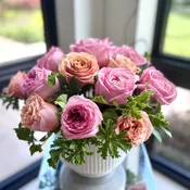 Enchanted Roses