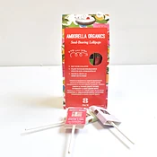 Amborella Organics Gardeners 8 Pack Lollipops — KinKa