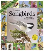Audubon Songbirds & Other Backyard Birds Picture-A-Day® 2027