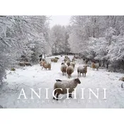 ANICHINI E-GIFT CARD ($150)
