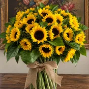 24 Sunflower Beauties