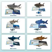 Plush Shark Adoption Kit