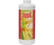 Aurora Soul Infinity Qt — EcoGarden Supply
