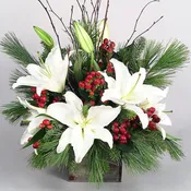 Fragrance with Pine