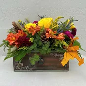 Autumn Blooms