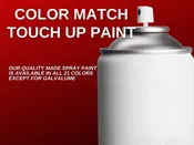 Exact color match paint