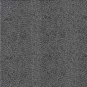 Animal Crackers by Sweetwater : 5809-16B in Black : Moda : Brushed Cotton