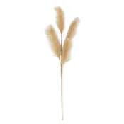 Beige Grass Stem
