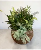 12” CERAMIC DISH GARDEN