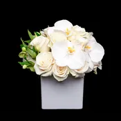 White Cube