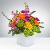 Bright Blooms