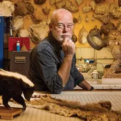 Quail Taxidermy Course with NHM's Tim Bovard