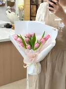 Blush Tulip Day