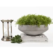 MOSS DISH GARDEN — Portland Florist | AMANDA KARAM FLORAL Co.