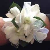 DENDRO ORCHID CORSAGE
