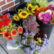 Fresh From the Farm Bouquet