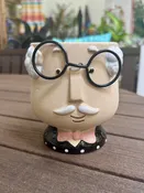 4" Quirky Guy Succulent Pot