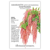 Amaranth Coral Fountain