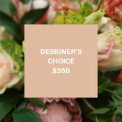 Designer’s Choice $350