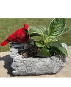 CARDINAL PLANTER